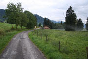 Natuur fotografie